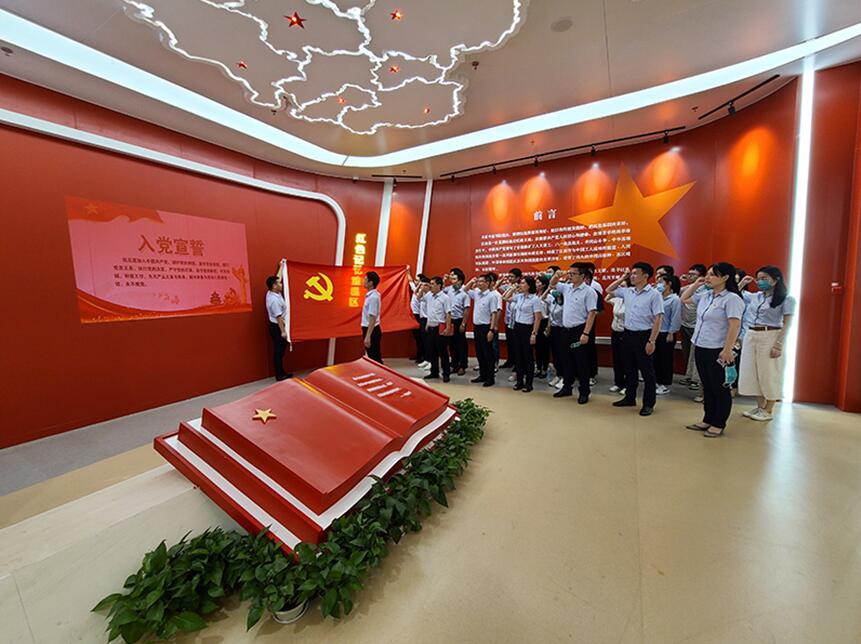 国咨公司党支部开展党史学习活动