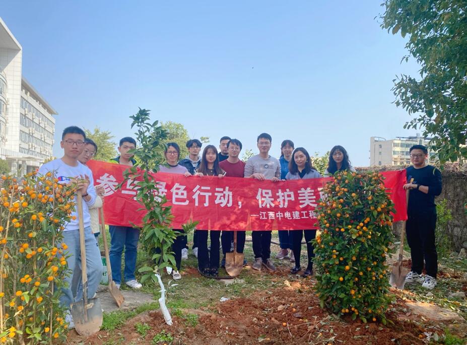 江西中电建工程造价咨询有限公司开展植树活动