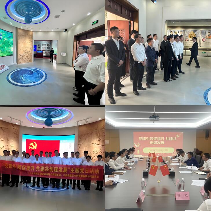 安澜公司党支部开展主题党日活动