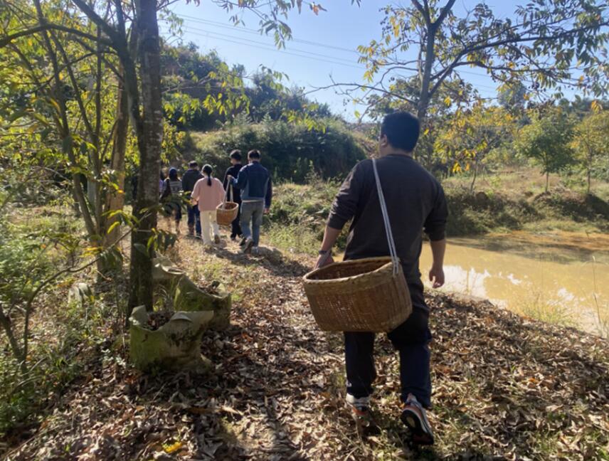 江西纪元公司组织员工采摘活动